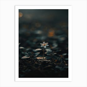 Flower In The Dark 23 Art Print