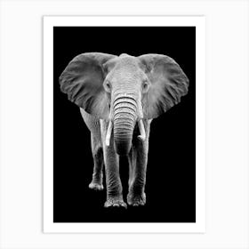 Black And White Elephant Art Print