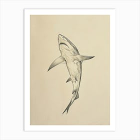 Thresher Shark Vintage Illustration 1 Art Print