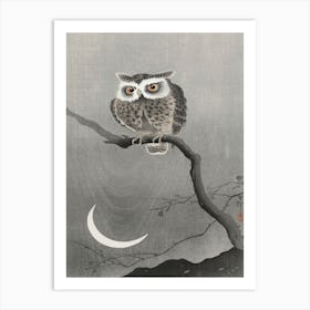 Long Eared Owl On Bare Tree Branch (1900 1930), Ohara Koson Art Print