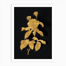 Vintage Agatha Rose in Bloom Botanical in Gold on Black n.0424 Art Print