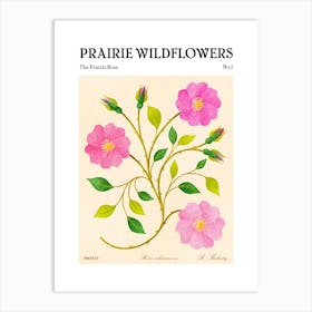 Prairie Wildflowers The Prairie Rose Art Print