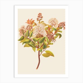 Eucalyptus 16 Art Print