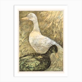 Two Standing Ducks (1878–1909), Theo Van Hoytema Art Print
