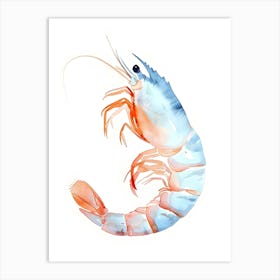 Watercolor Shrimp Isolated On White Background Art Print