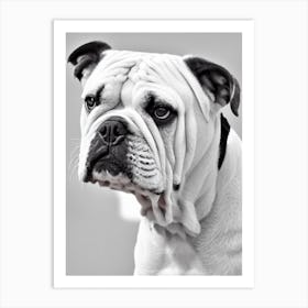 Bulldog B&W Pencil Dog Art Print