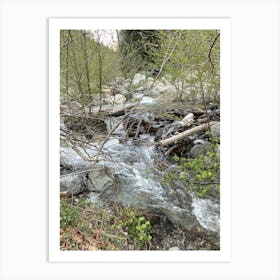 Stream In The Woods 6 Art Print