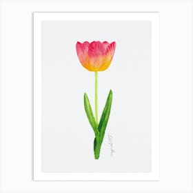 Tulip4 Art Print