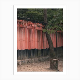 Torii Art Print