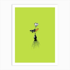 Vintage Cape Tulip Black and White Gold Leaf Floral Art on Chartreuse n.0828 Art Print