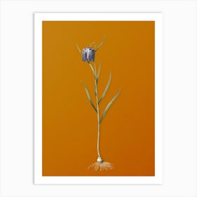 Vintage Chess Flower Botanical on Sunset Orange n.0504 Art Print