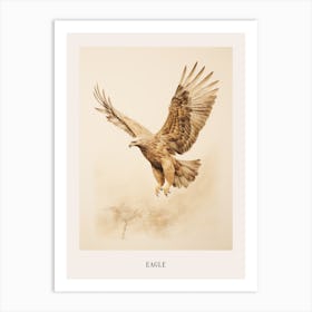 Vintage Bird Drawing Eagle 2 Poster Art Print