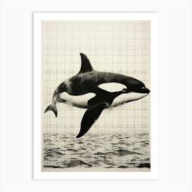 Black Ink Drawing Orca Whale Art Print