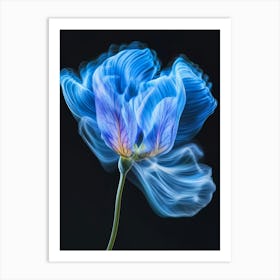 Blue Poppy Flower Art Print