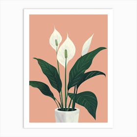 Peace Lily Plant Minimalist Illustration 7 Art Print