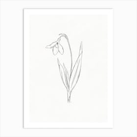 Snowdrop Sketch Art Print