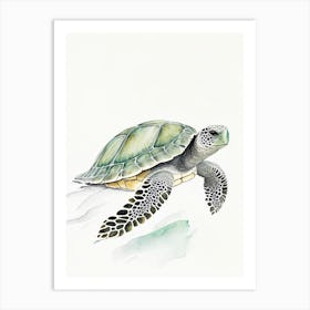 Olive Ridley Sea Turtle (Lepidochelys Olivacea), Sea Turtle Pencil Illustration 1 Art Print