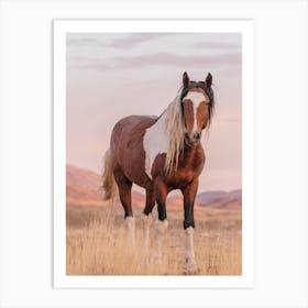 Paint Horse In Desert Art Print