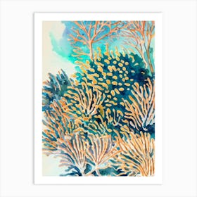 Acropora Millepora 3 Vintage Graphic Watercolour Art Print