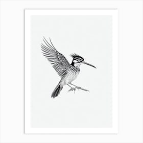 Roadrunner B&W Pencil Drawing 2 Bird Art Print