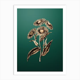 Gold Botanical Shewy Stenactis on Dark Spring Green n.0995 Art Print