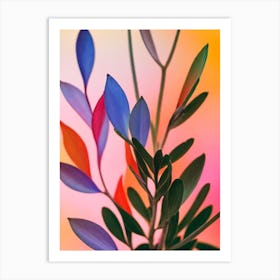 Kalanchoe Colourful Illustration Art Print