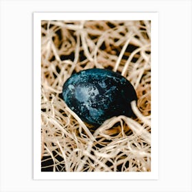 Black Egg In Straw Art Print