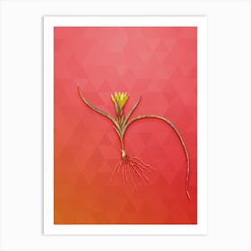 Vintage Ixia Recurva Botanical Art on Fiery Red n.2039 Art Print