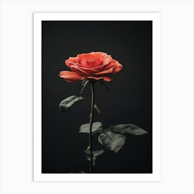 Single Rose On Black Background 46 Art Print