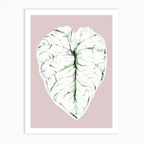 The Plant Series Alocasia Melo Light Art Print
