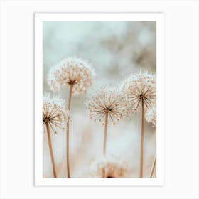 Dandelion 11 Art Print