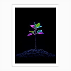 Plant Growing In The Dark 3 Art Print