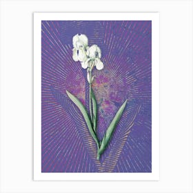Vintage Tall Bearded Iris Botanical Illustration on Veri Peri n.0930 Art Print