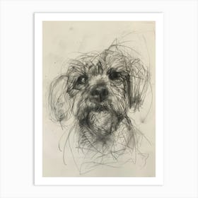 Dandie Dinmont Terrier Dog Charcoal Line 1 Art Print