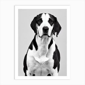 Treeing Walker Coonhound B&W Pencil Dog Art Print