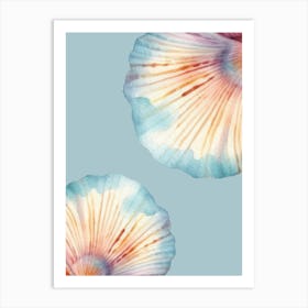 Watercolor Seashells Art Print