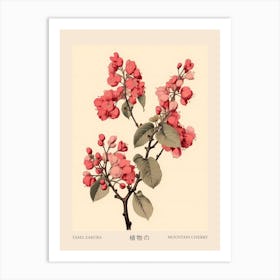 Yama Zakura Mountain Cherry 1 Vintage Japanese Botanical Poster Art Print