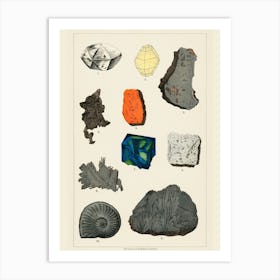 Minerals And Fossils Art Print