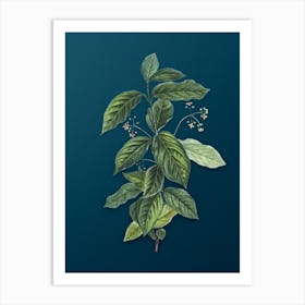 Vintage Broadleaf Spindle Botanical Art on Teal Blue n.0013 Art Print