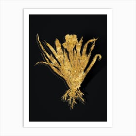 Vintage Crimean Iris Botanical in Gold on Black n.0388 Art Print