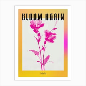 Hot Pink Lobelia 1 Poster Art Print