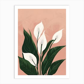 Peace Lily Plant Minimalist Illustration 4 Art Print