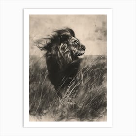 African Lion Charcoal Drawing Hunting 4 Art Print