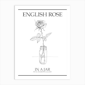 English Rose In A Jar Line Drawing 4 Poster Art Print