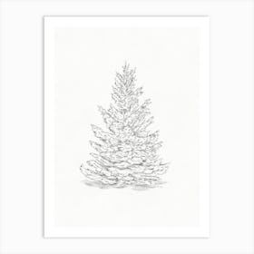 Pine Tree Sketch Art Print