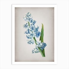 Vintage Oriental Hyacinth Botanical on Parchment Art Print