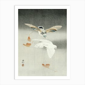 Two Pigeons With Falling Ginkgo Leaves (1900 1930), Ohara Koson Art Print