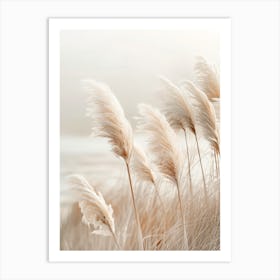 Idyllic Pampas Grass Art Print