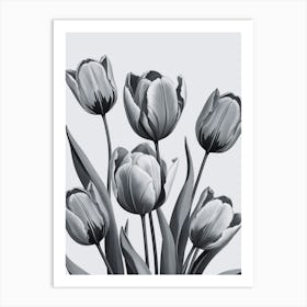 Black And White Tulips 3 Art Print