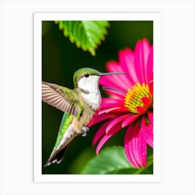 Female Ruby Throated Hummingbird-Reimagined 2 Art Print